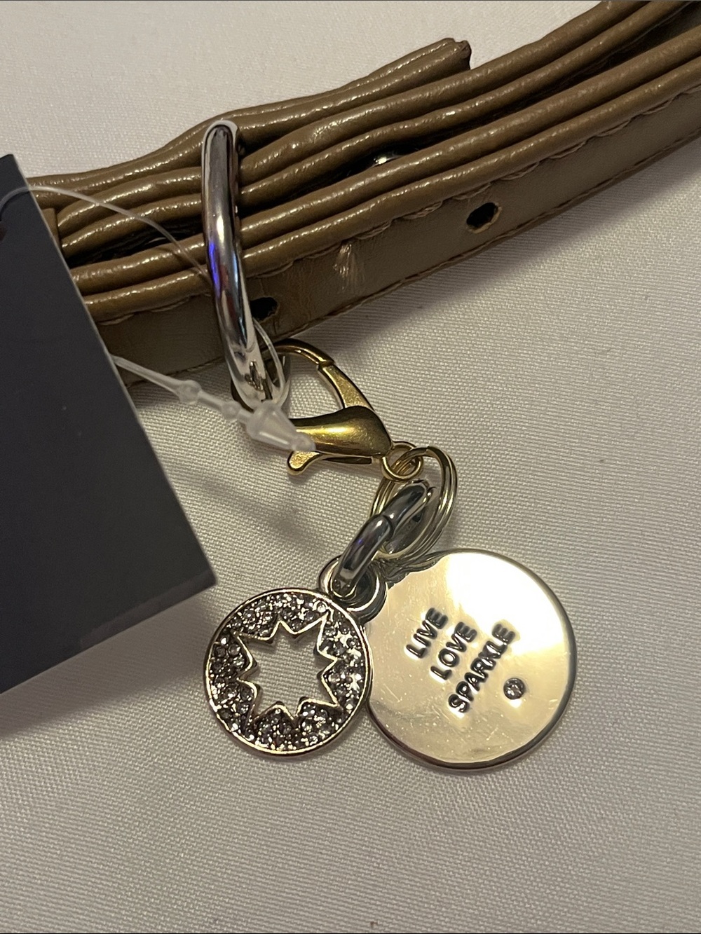 Martha Stewart Tan Leather Buckle Dog Collar with Charm & Leash NWT - Picture 2 of 3